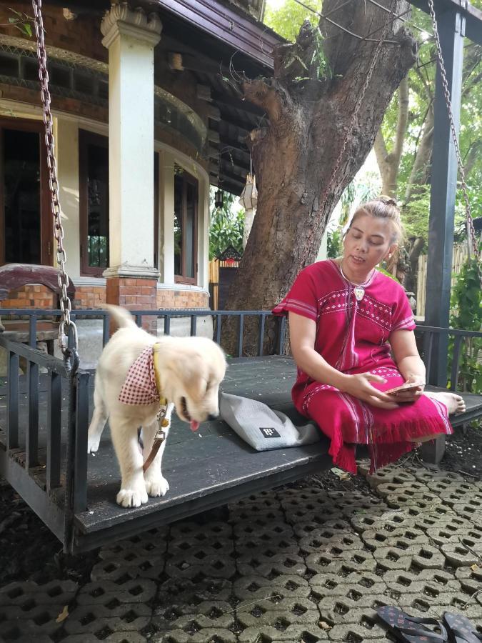 Avara Signature House Otel Chiang Mai Dış mekan fotoğraf
